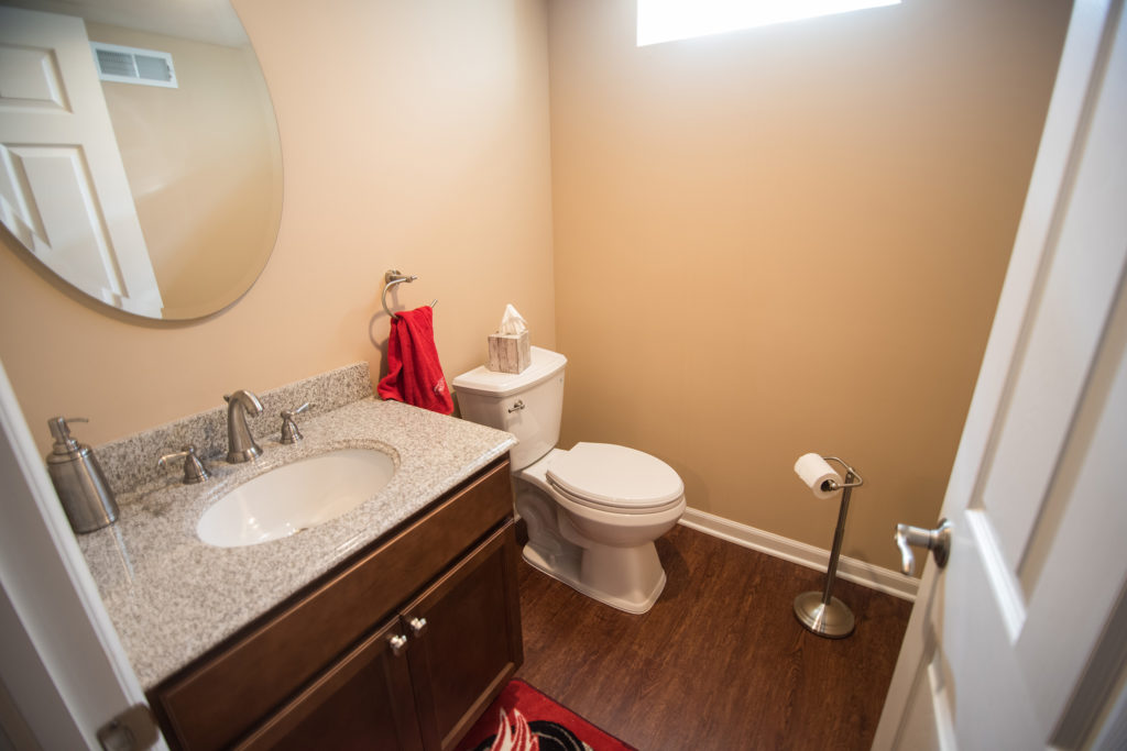 basement bathroom with vinyl plank flooring and vanity