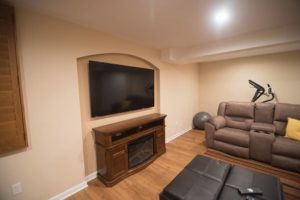 Traditional small basement with living room and bathroom in Clinton Township, MI