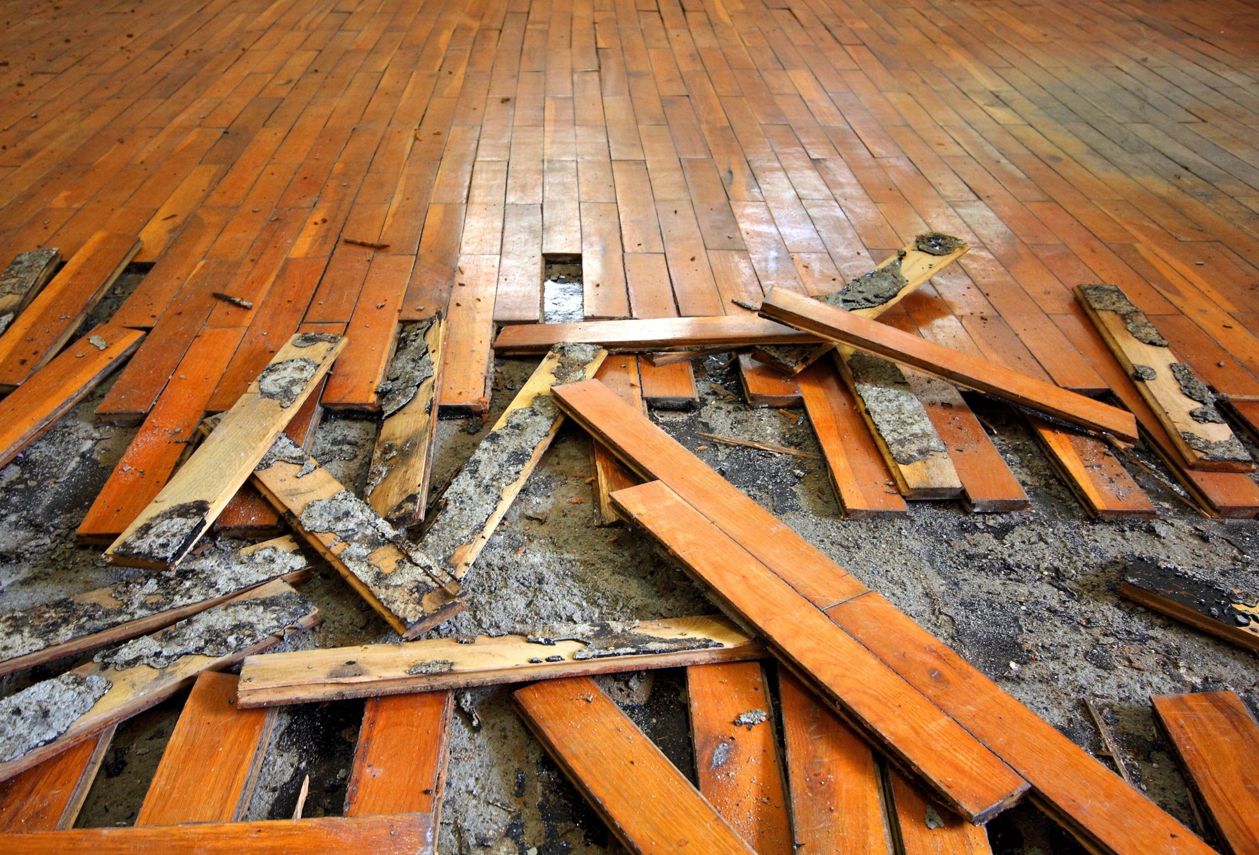 moldy warped wood flooring in basement tear out